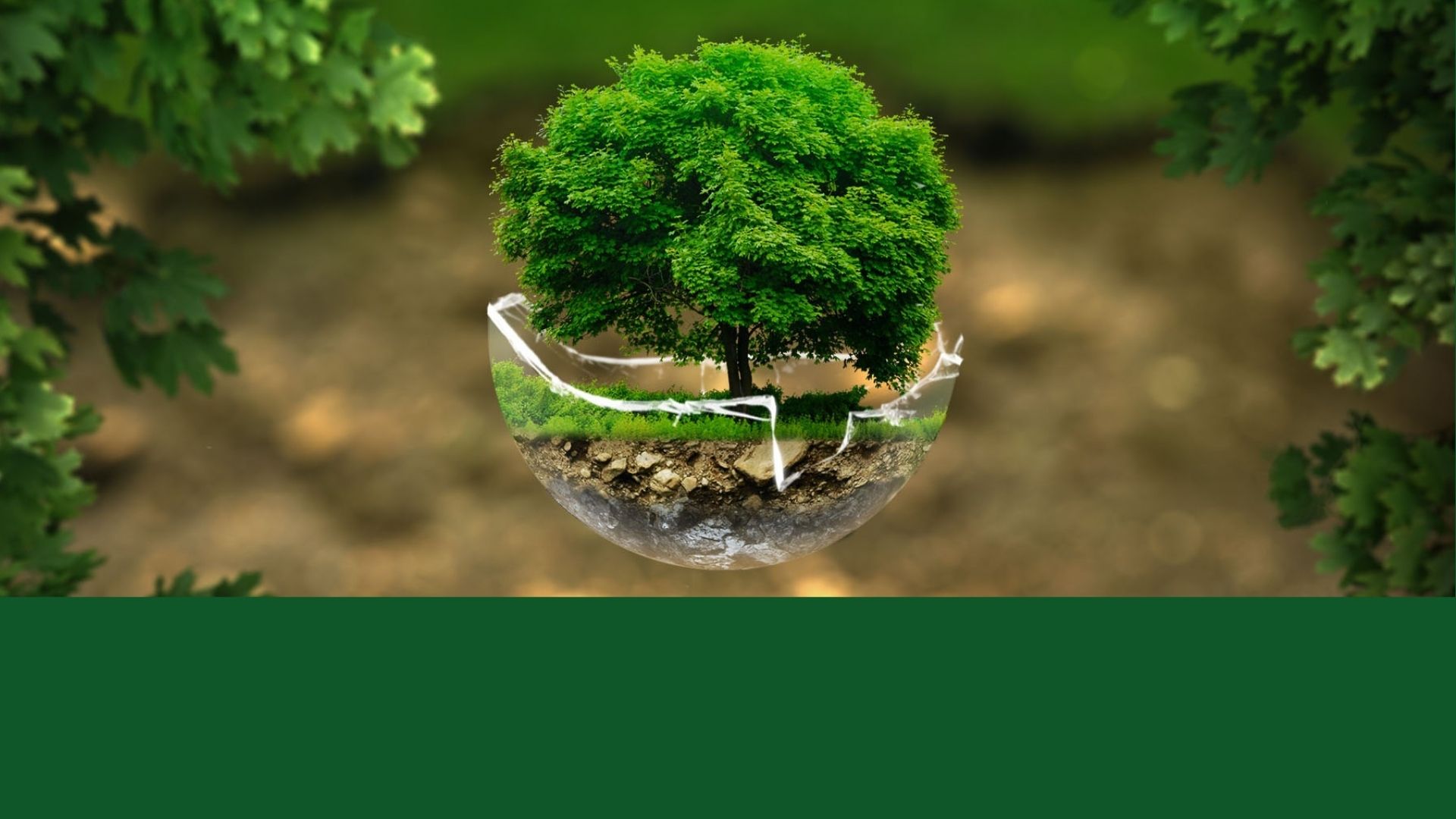 Un arbre vert repose sur une balle, créant une image ludique et originale de la nature et du jeu.