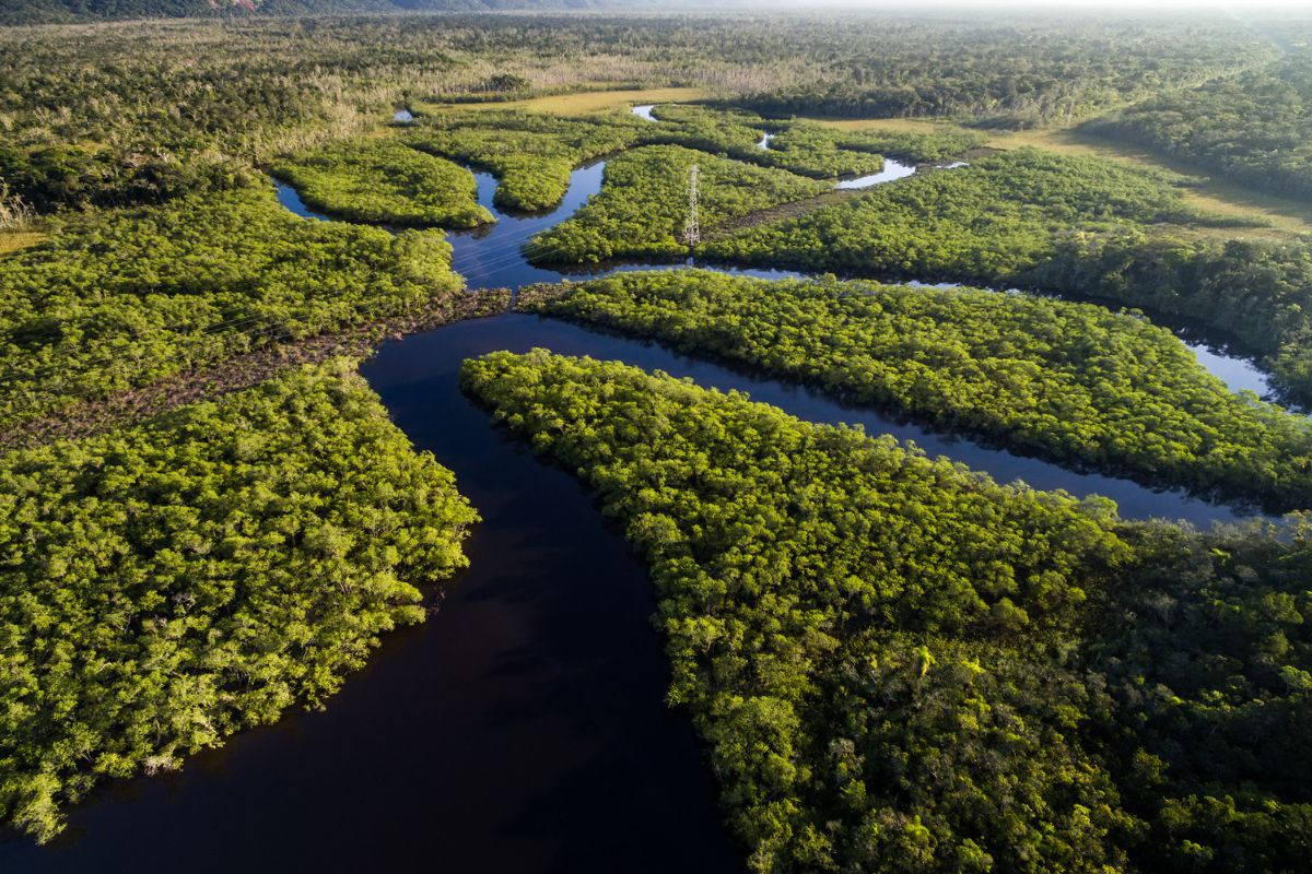 Cerrado do oeste baiano é conservado por agricultores e produtores rurais