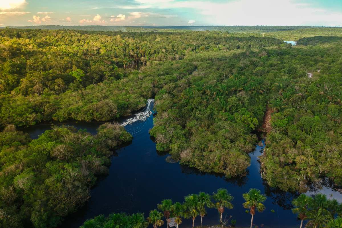 Planaveg no mundo da lua