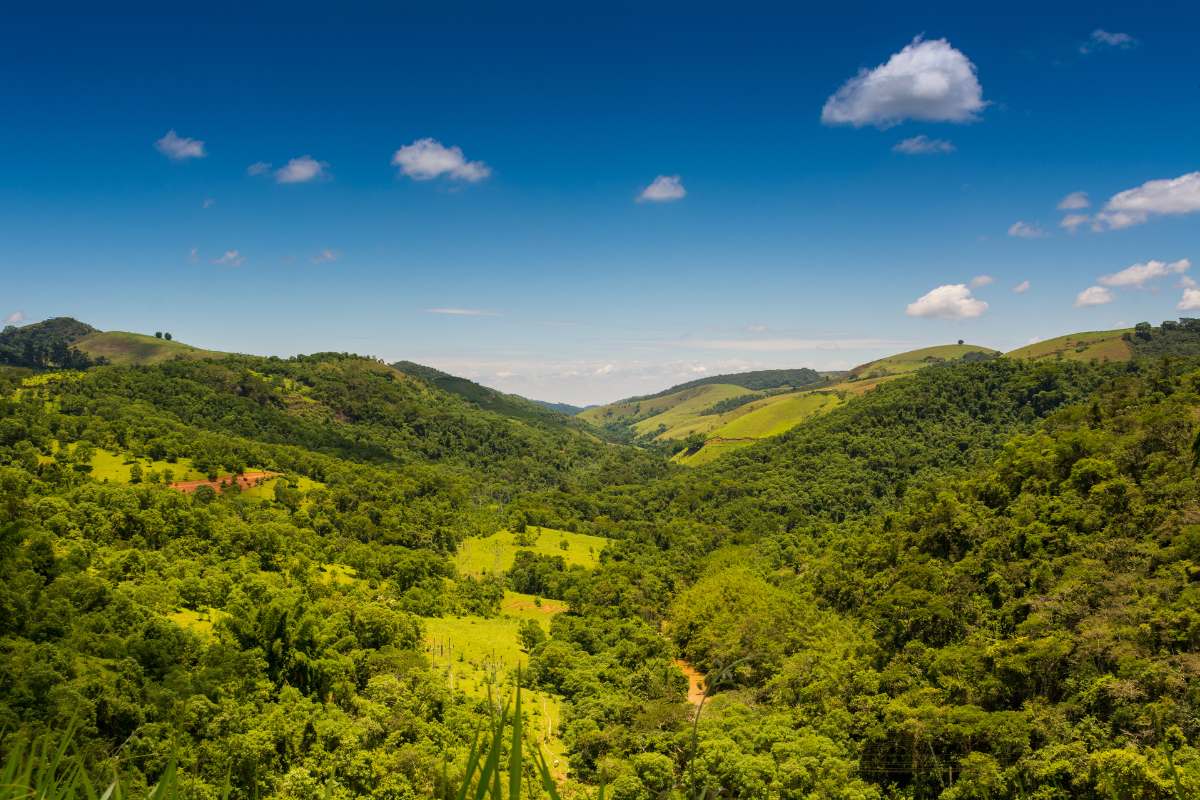 Código Florestal: Brasileiros preferem acreditar em mitos